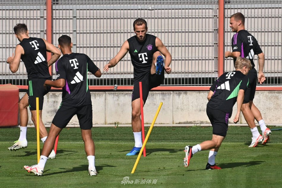 平球员的职 平球员的职