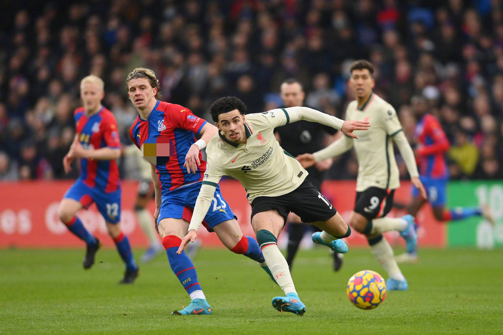 结果里更有 结果里更有