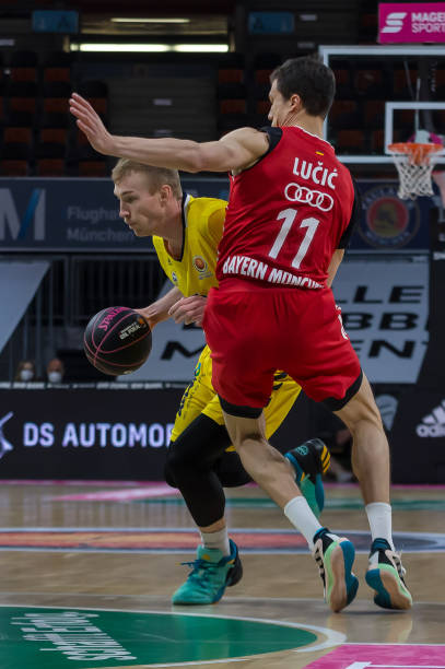 在南美这片 在南美这片